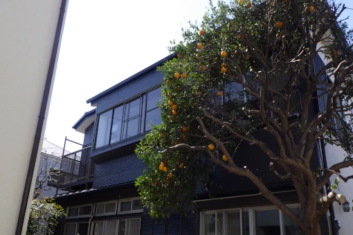 外装改修工事後